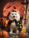 🎃🙀Spooks and Paws: A Feline's Guide to Halloween💀😼