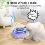 ORSDA 3-in-1 Cat Toys