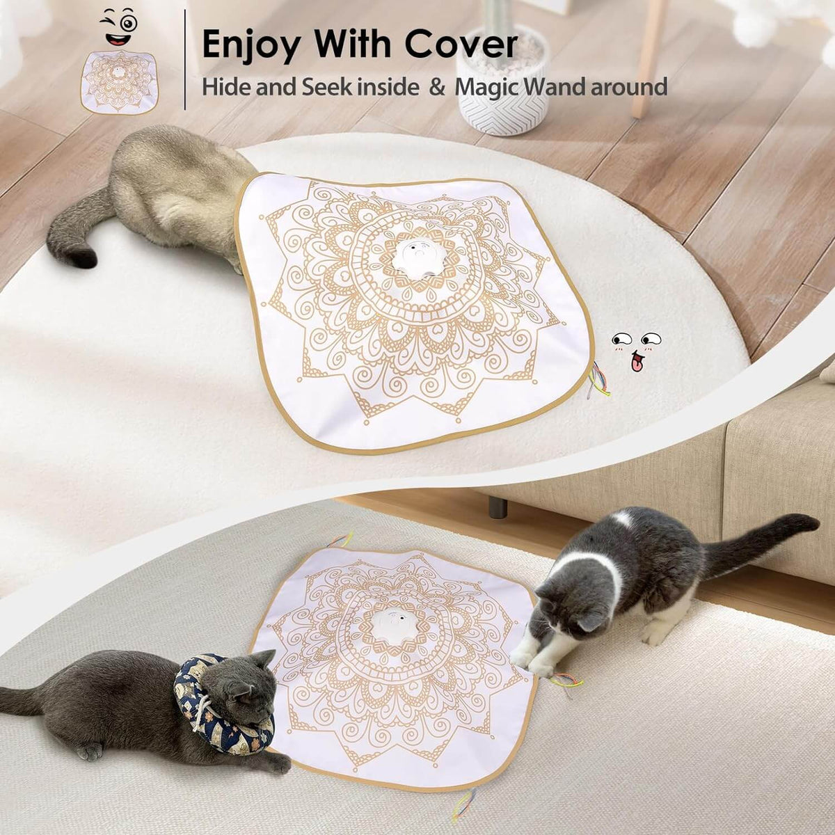 Hide and Seek Cat Toys