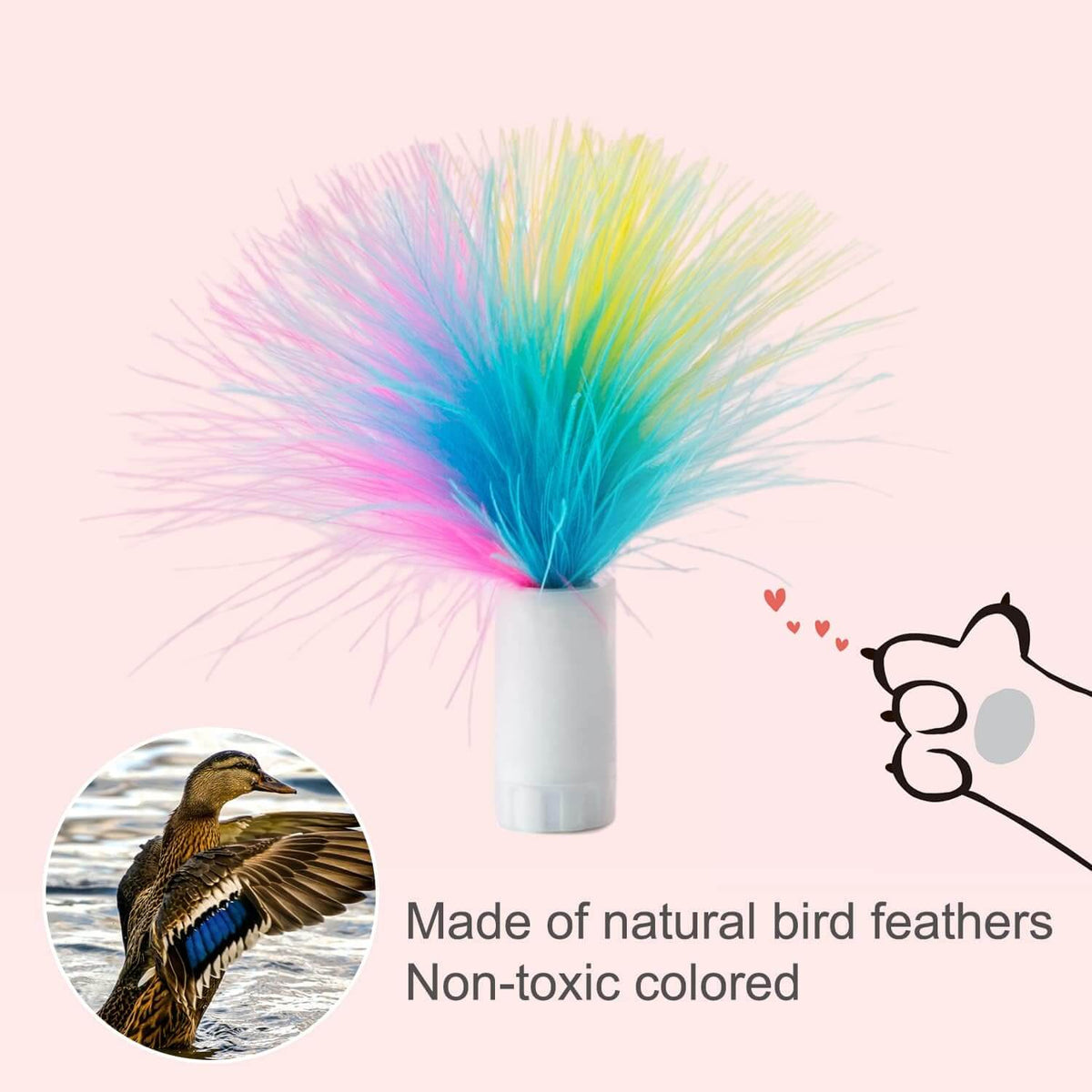 Replacement Feather for cat toys