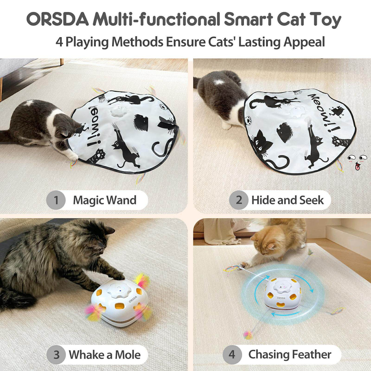 Hide and Seek Cat Toys