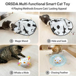 Hide and Seek Cat Toys