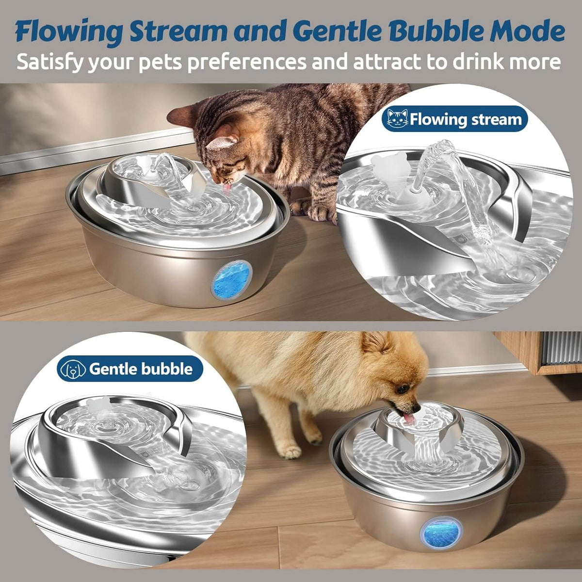 Cat Water Fountain Visible Water Level