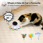 2-in-1 Interactive Cat Laser Toys-ORSDA