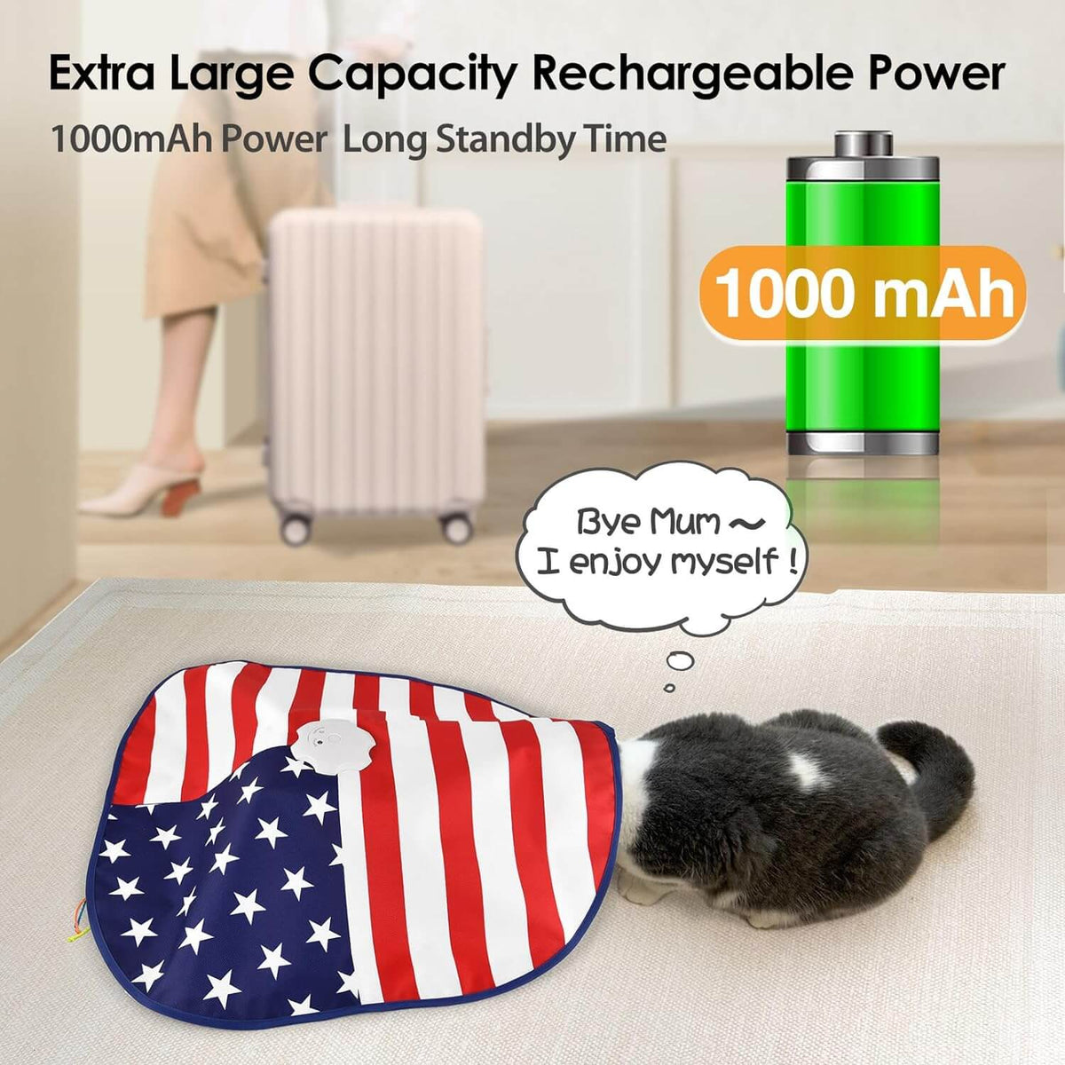 Hide and Seek Cat Toys