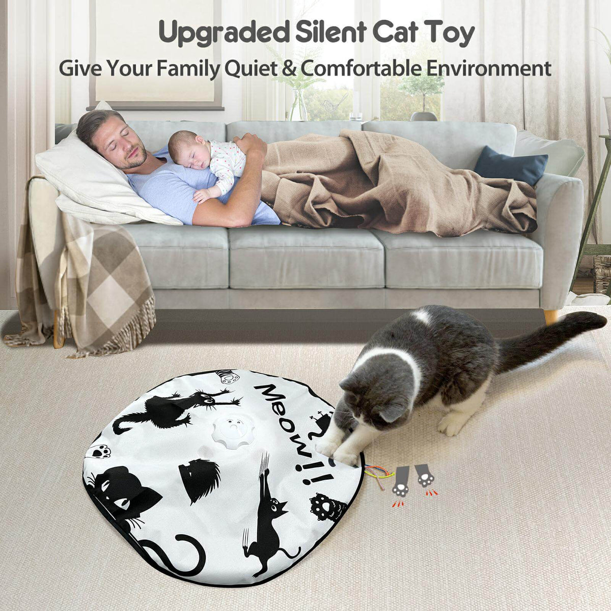 Hide and Seek Cat Toys