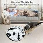 Hide and Seek Cat Toys