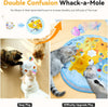 5-in-1 Interactive Cat Toy