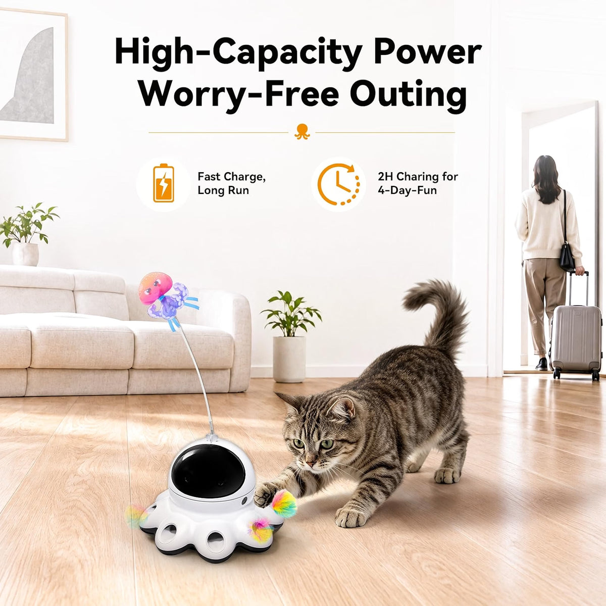 2-in-1 Cat Laser Toys