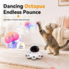 2-in-1 Cat Laser Toys