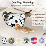 Hide and Seek Cat Toys