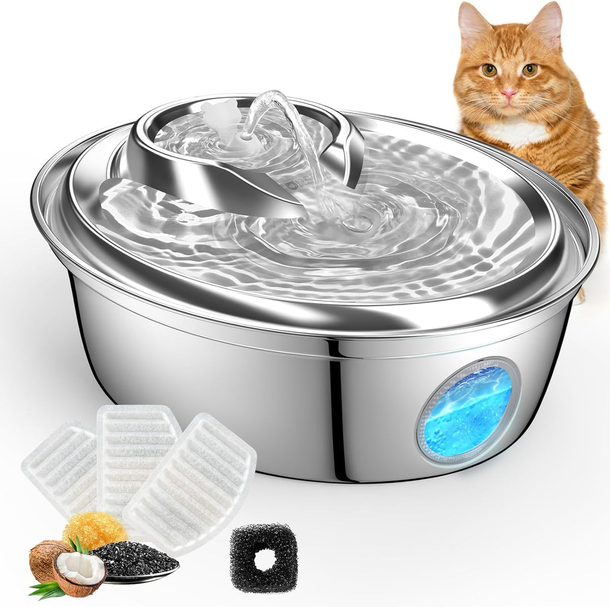 Cat Water Fountain Visible Water Level