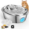 Cat Water Fountain Visible Water Level
