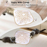 Hide and Seek Cat Toys