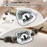 Hide and Seek Cat Toys