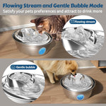 Cat Water Fountain Visible Water Level