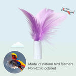 Replacement Feather for cat toys