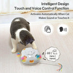 Hide and Seek Cat Toys