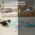 Hide and Seek Cat Toys