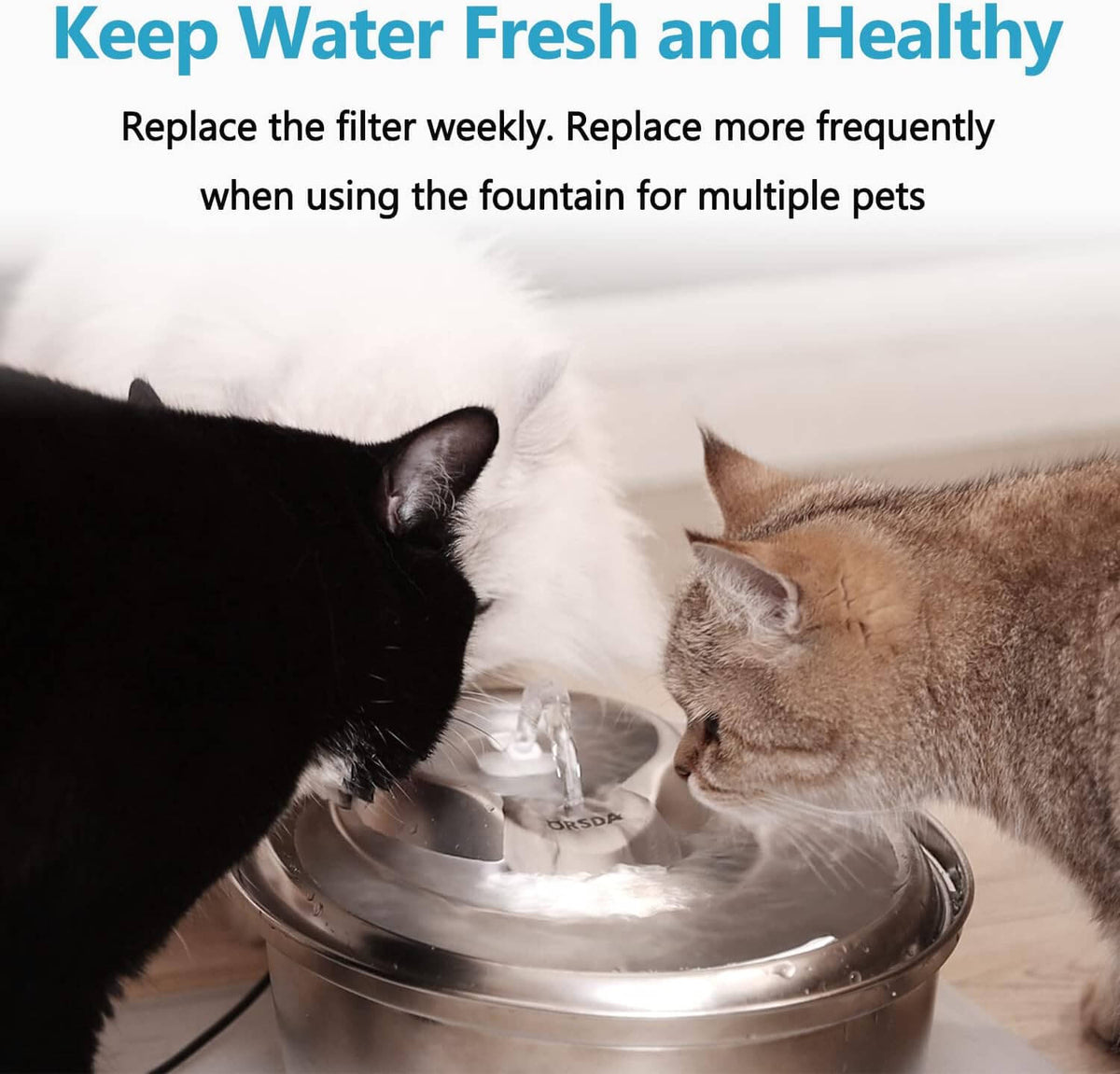 3L/100oz Water Fountain Filters