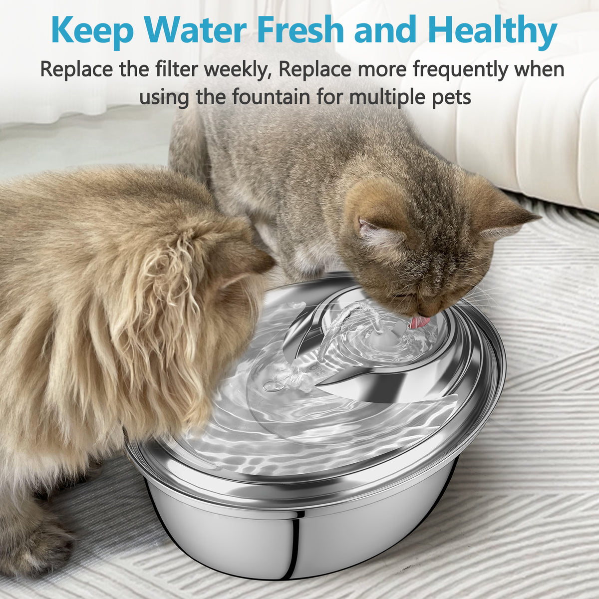 2L/67oz Water Fountain Filters 6/12Pack