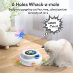 ORSDA 3-in-1 Cat Toys