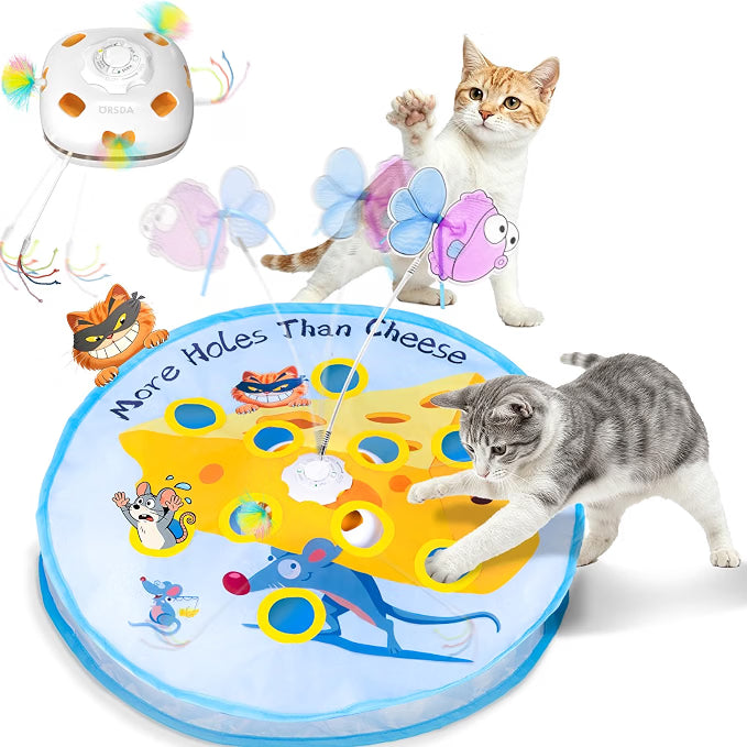 5-in-1 Interactive Cat Toy